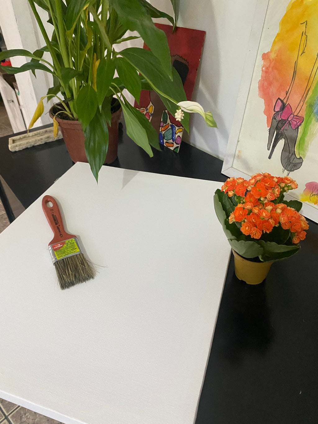 Seu jardim
